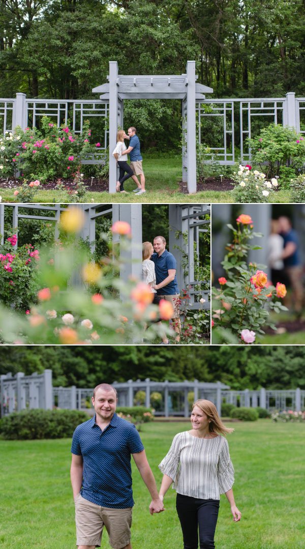 two lovers in a rose garden