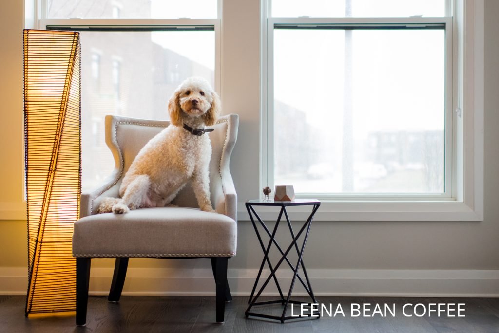 columbus brand photography | Jessica Miller Photography leena bean coffee