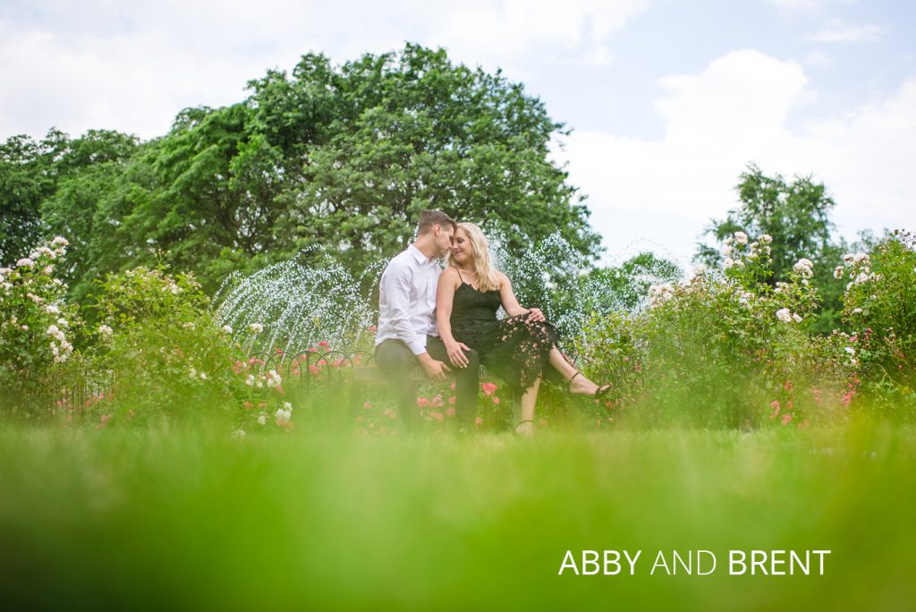 whetstone engagement | Jessica Miller Photography whetstone park of roses