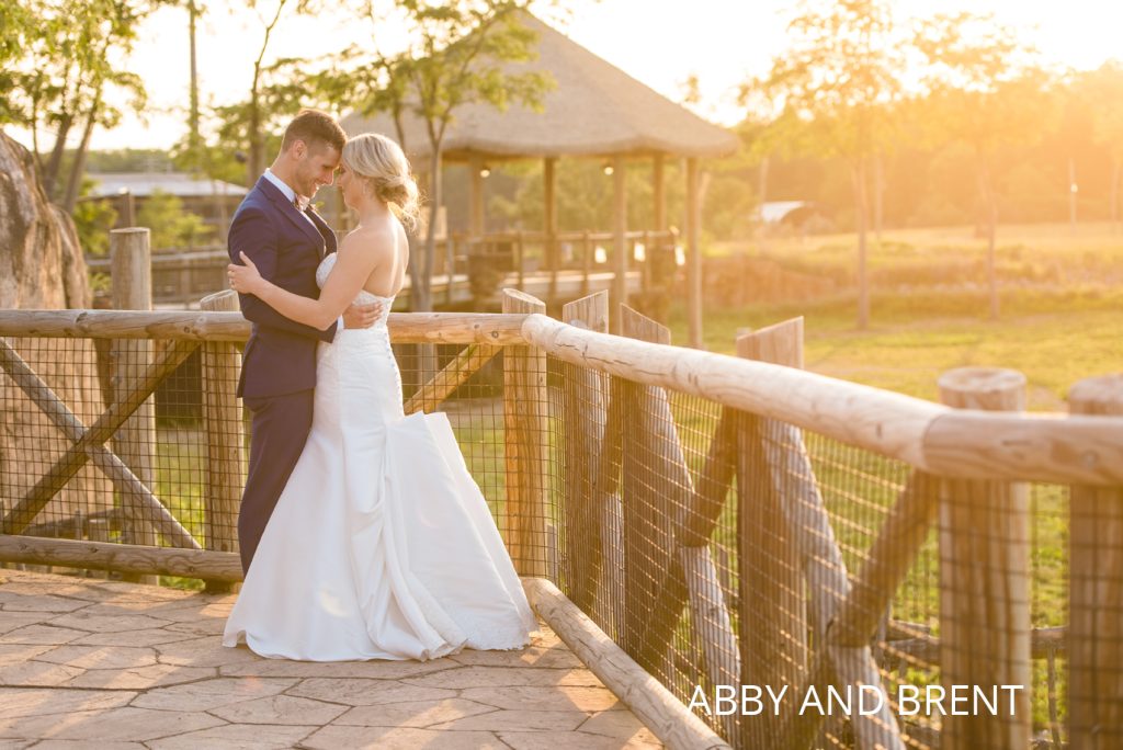 Columbus zoo wedding | Jessica Miller Photography Columbus zoo wedding