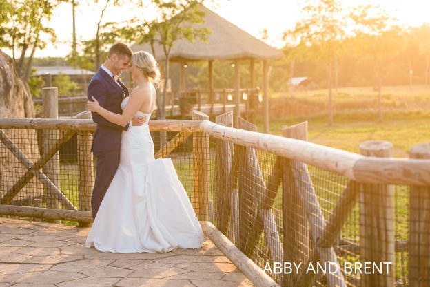 Columbus zoo wedding