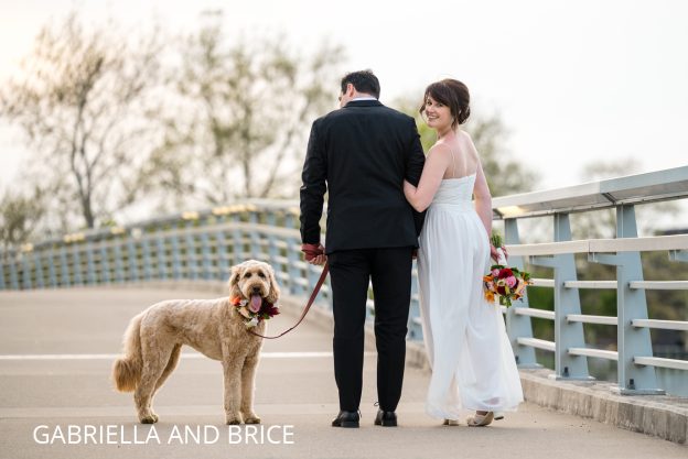 elopement with dog